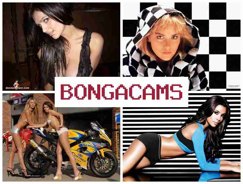 BINGA CAMS 👧 Webcam Busty Videos