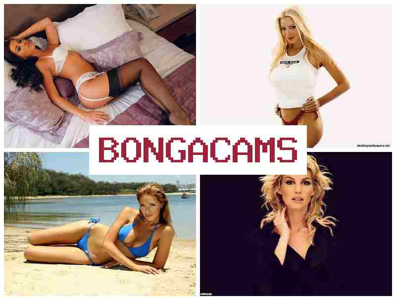 BPNGA CAMS 💖 Teen Girls Nude Pussy, Webcam Solo