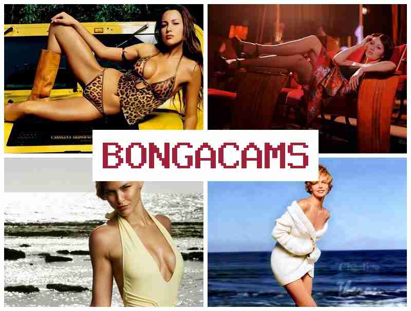 BOBGA CAMS ☑️ Arabic Girl Dancing Webcam
