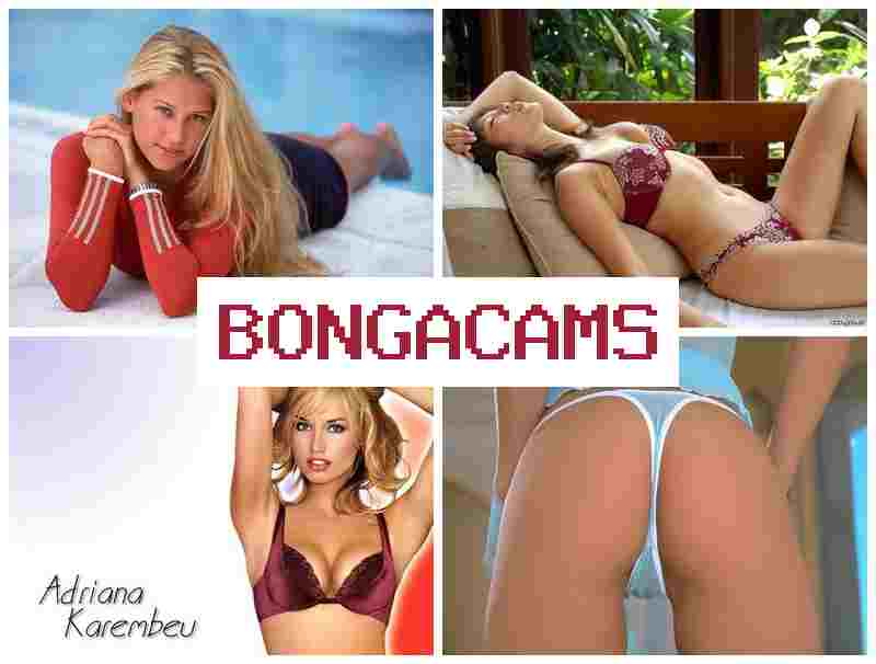 BOHGA CAMS █ Beauty Webcam Porn