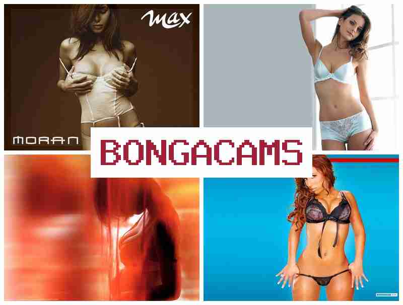 BONNGACAMS 💯 Webcam Incest XXX