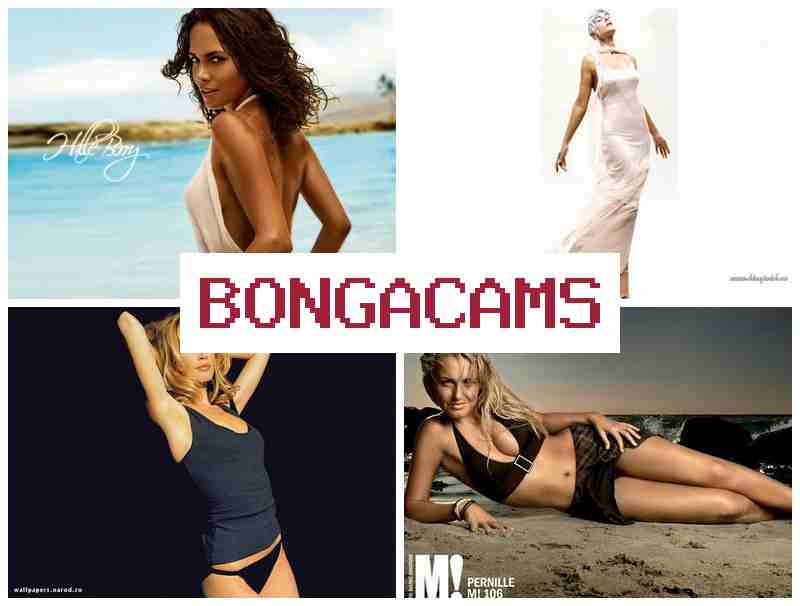 BONHA CAMS 👍 Webcam Canal Videos Porno