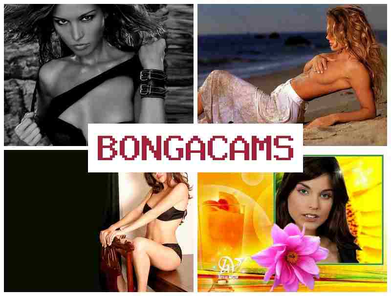 BONGA DAMS 👠 Teens Asian Webcam, Anal Porno