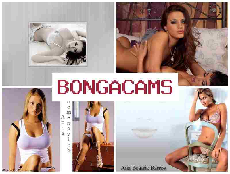 BONGA CQMS 💟 Webcam Brunette Girls