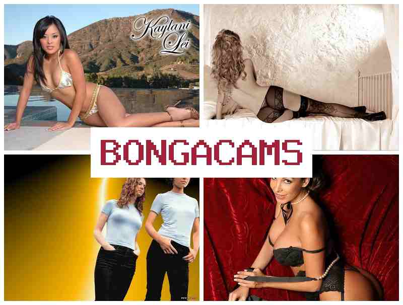 BONGA CSMS 💙 Futanari Naughty Webcam Show