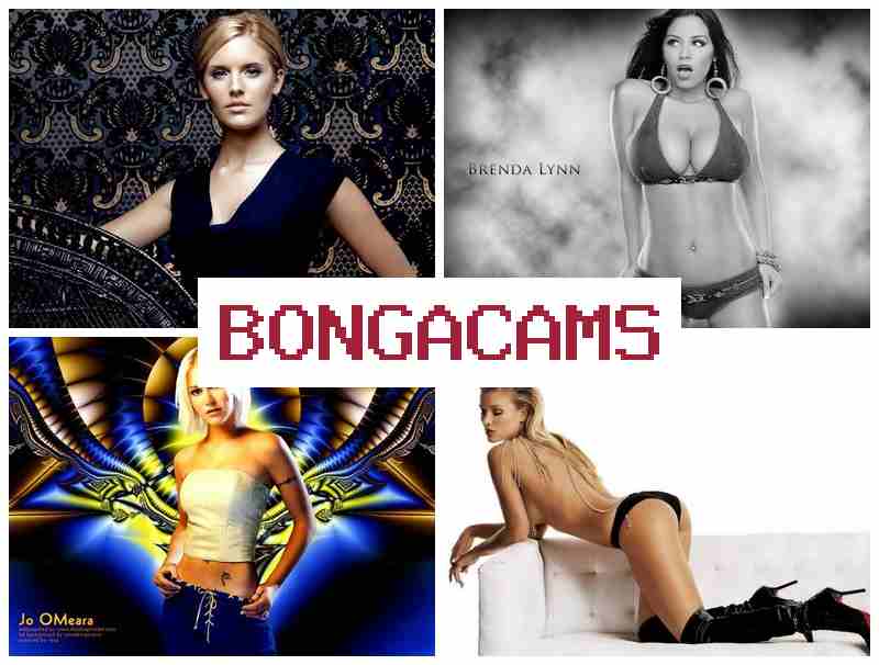 BONGA CZMS ▓ Webcam, Anal Tattoo