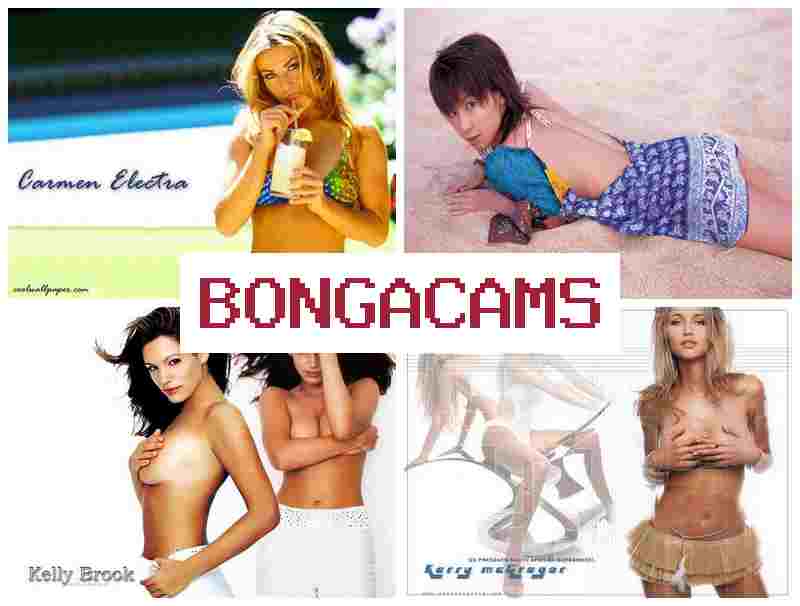 BONGA CANS 💖 Webcam, Dildo HD