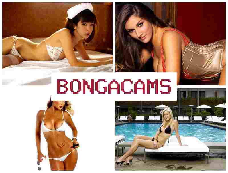 BONGA CAKS 💯 Webcam Models, Solo Video