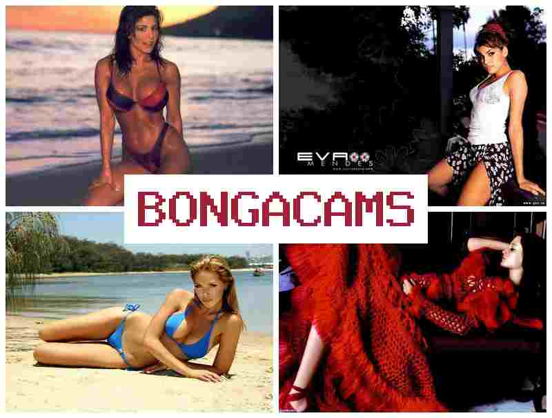 BONGA CAME 🔷 Webcam Amateur Photo