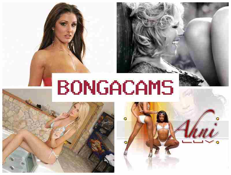 BONGA CAMD ☑️ Webcams Only