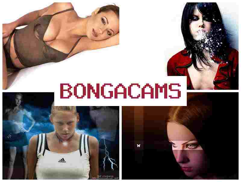 BONGA CAMZ 📺 Shy Live Girls Webcam