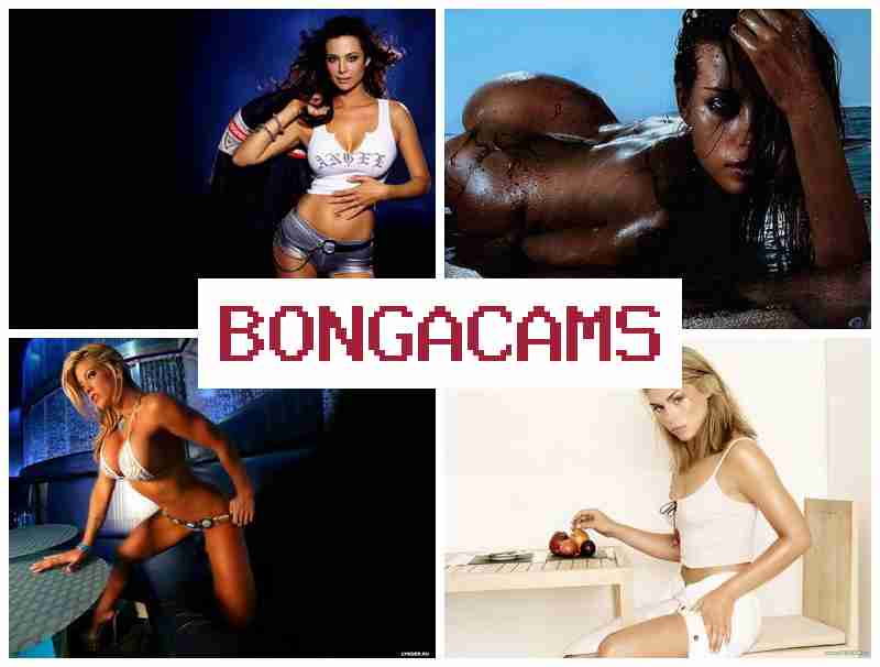 BONGACCAMS 🔵 Free Webcam Records