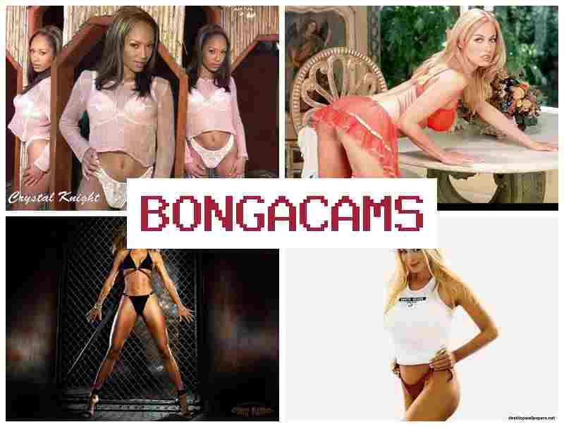 BNOGACAMS 💟 Porno HD Webcam, Teens