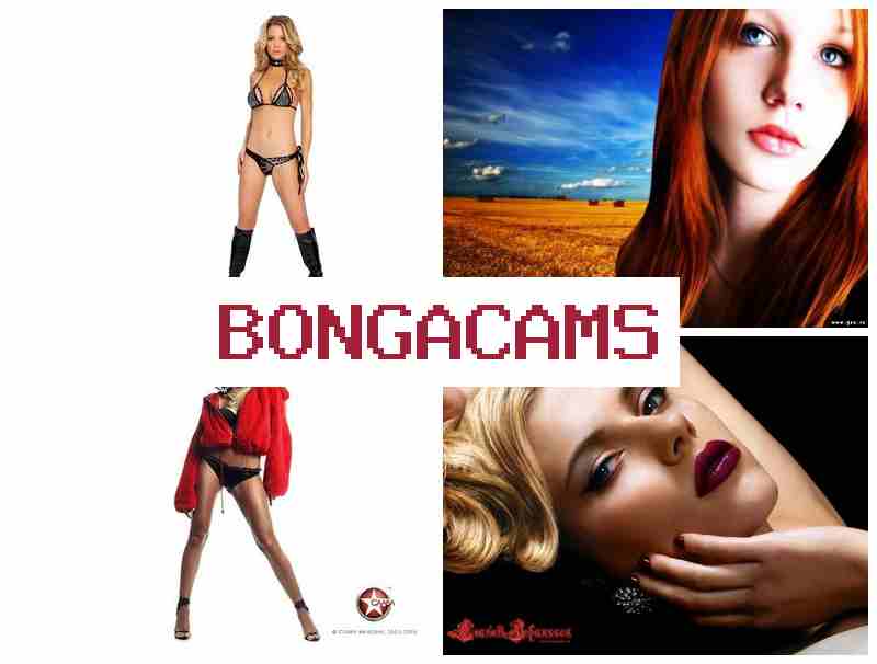 BOGACAMS 😍 Teens Porno Webcams Anal