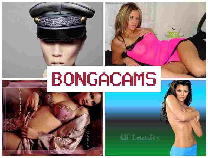 BOGNACAMS 💟 Big Tits, Webcam Puffy