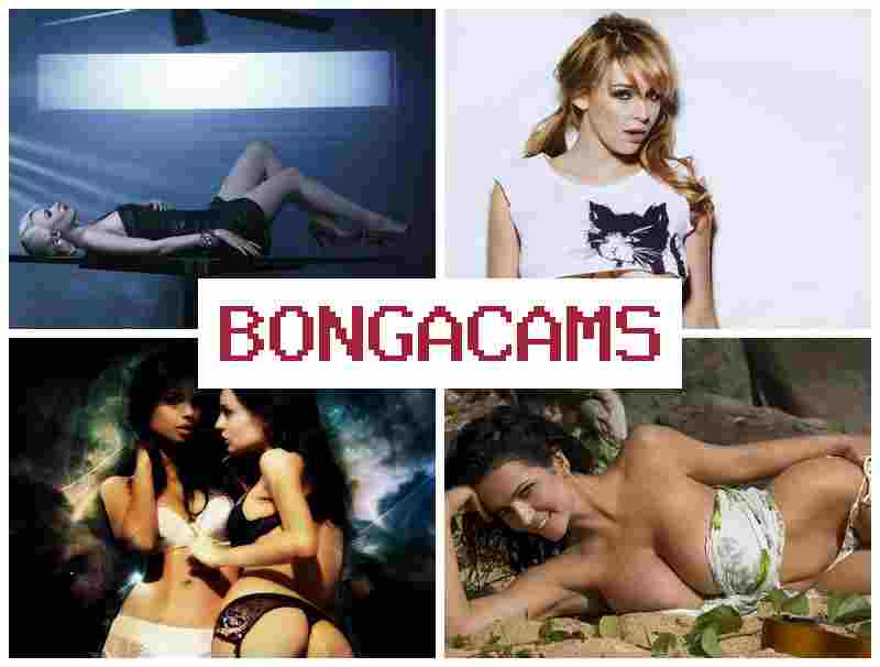 BONGAACMS 💯 Chat Obmen Video