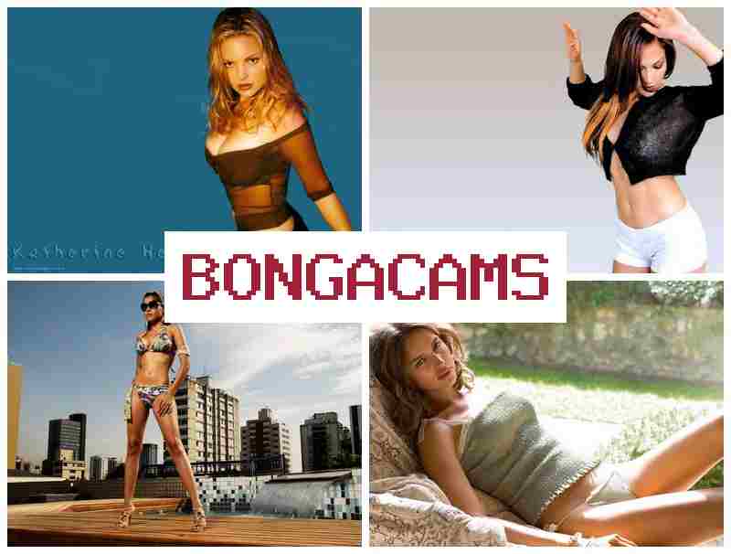 BONGACMAS 📺 Vids Porno Webcam