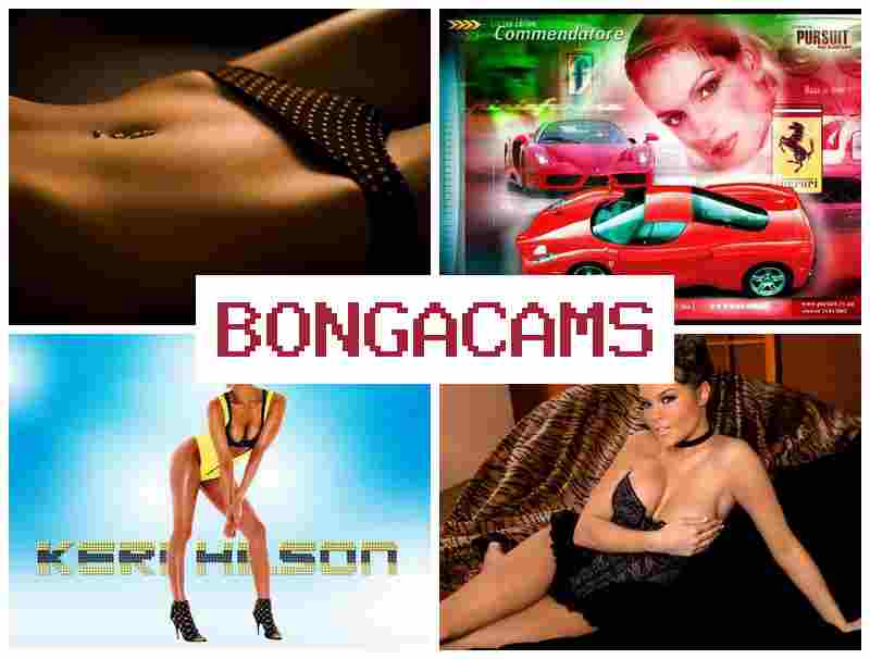 BINGACAMS 🔵 Webcam Porno Solo Teen Sexy