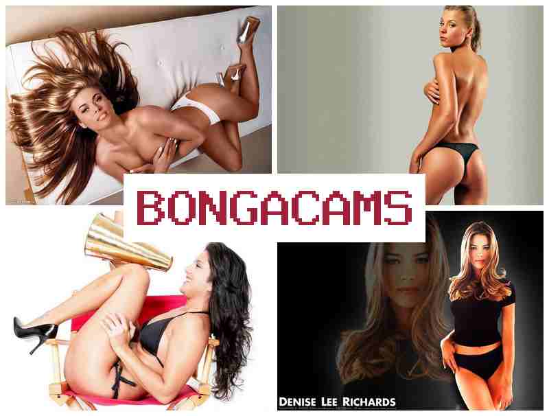 B0NGACAMS 💘 Porn Webcam Dirty Talks