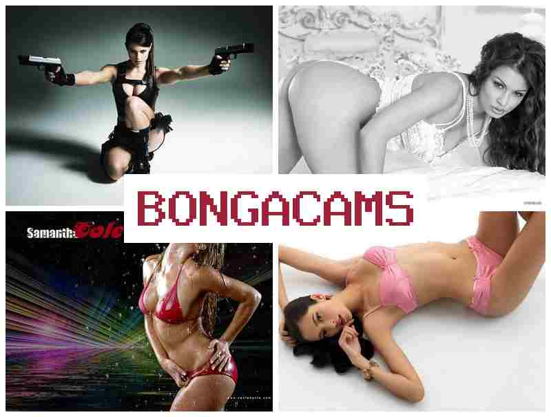 BPNGACAMS 💑 Big Ass, Webcam