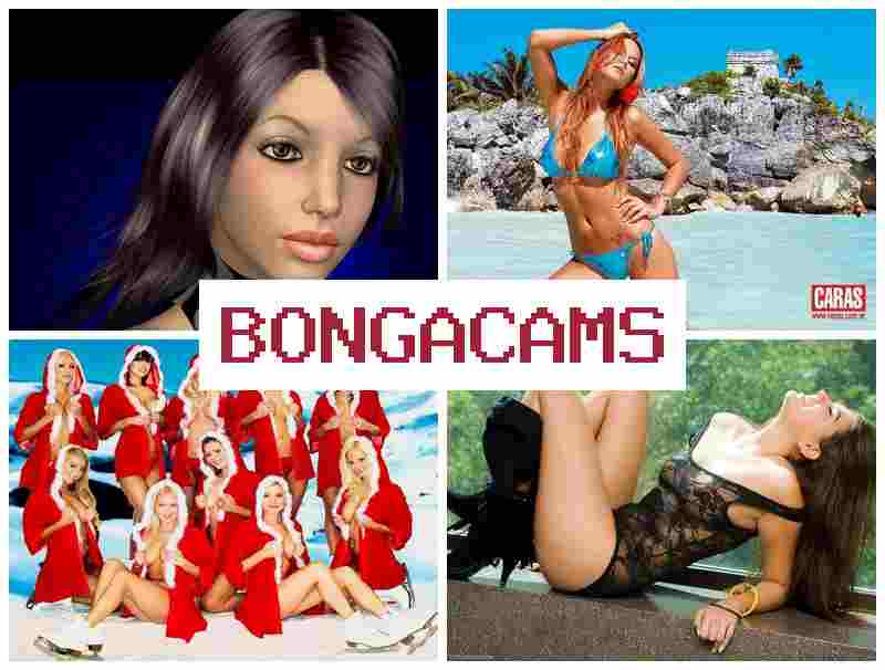 BKNGACAMS 💚 Live Webcam Models, Free