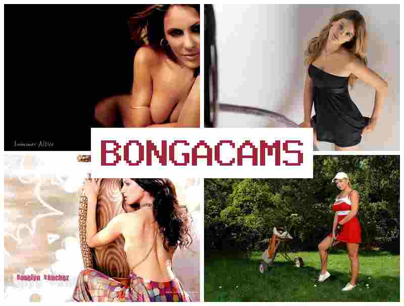 BOHGACAMS 🔷 Webcam Girl Video Privat Solo