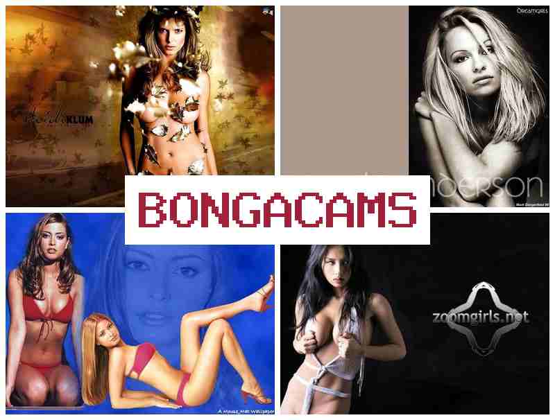 BONGADAMS 💜 Fit Porno Webcam