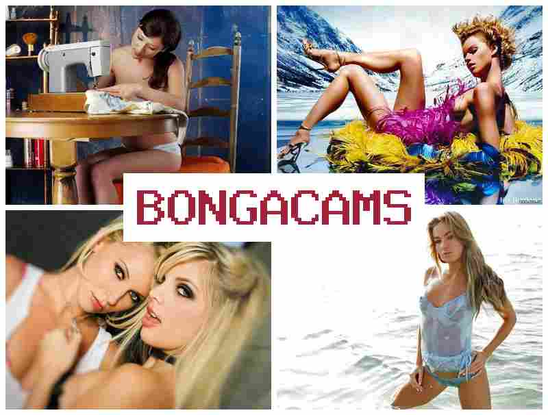BONGAFAMS 🔴 Webcam, Teen Solo Girl Masturbating