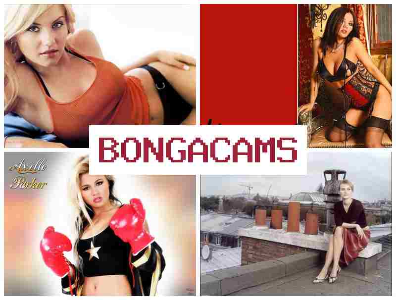 BONGAVAMS 💏 Webcam Show Porn
