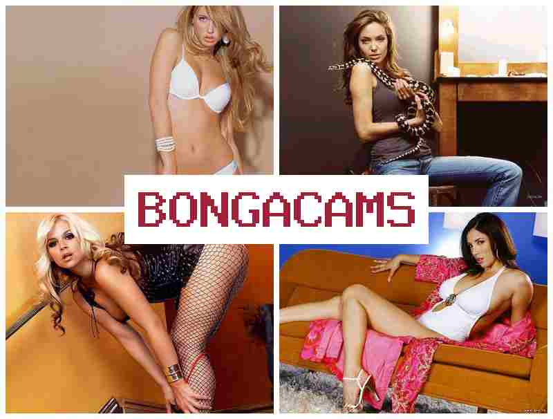 BONGACQMS 🔞 Girls Webcam Porno Forum