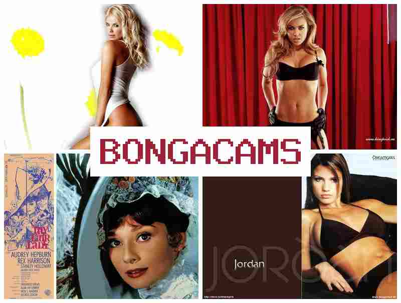 BONGACANS 🌟 Webcam, Teen Anal Sex Porno