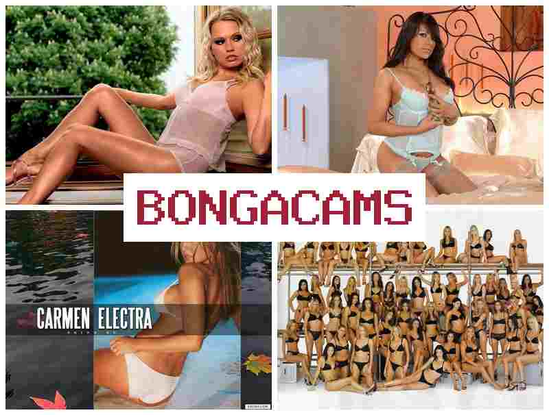 BONGACAKS ♥ Porno Erotic Webcam