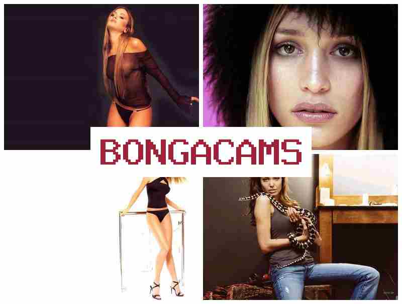 BONGACAMX 📺 Chat Media Video