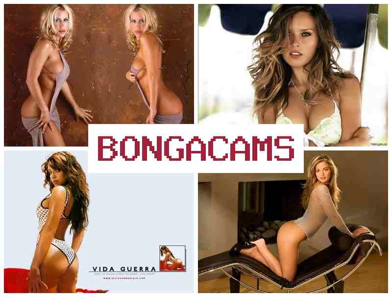 BNGA CAMS 🔔 Webcam CP Forum