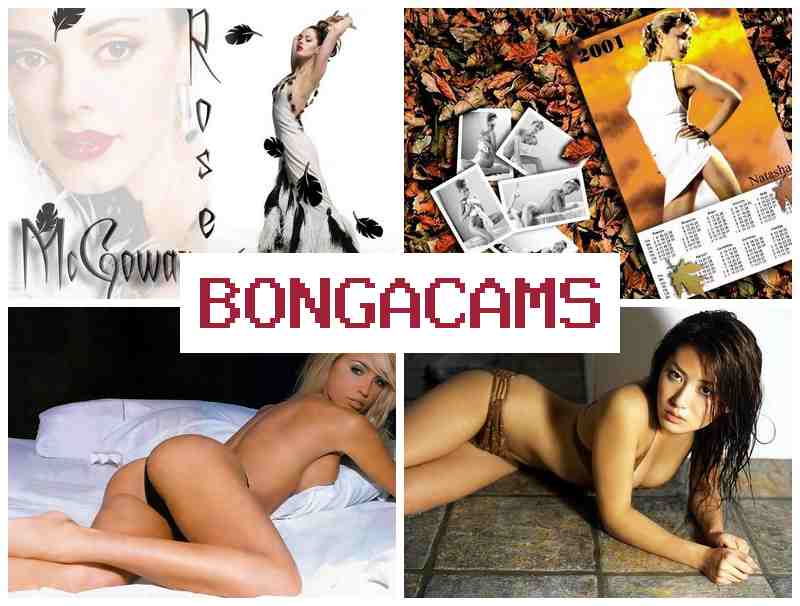 BONGACAS 💝 Webcam, Anal Stretching