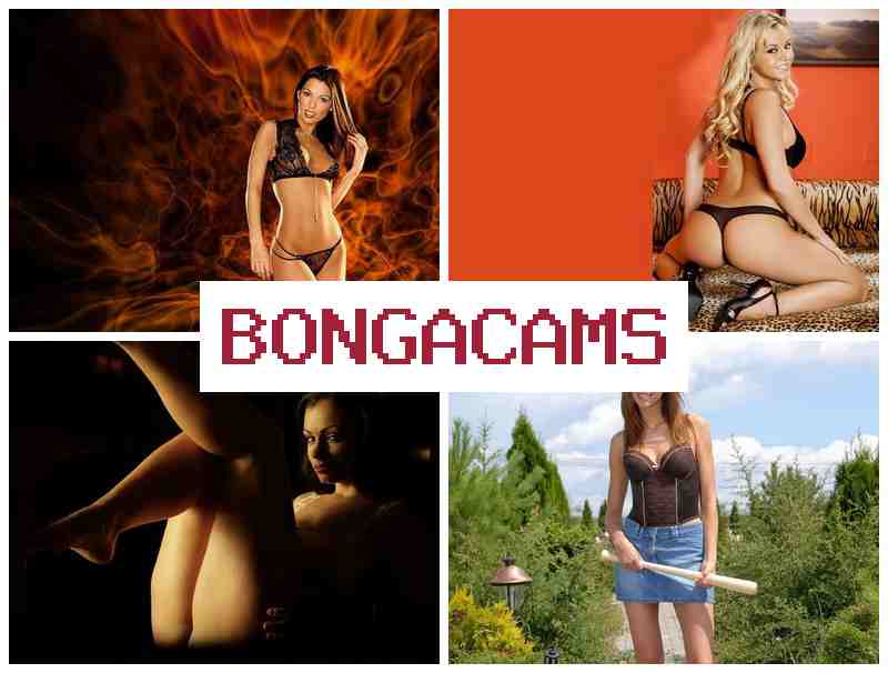 BOGA CAMS 💖 Webcam XXX Sexy Milf XXX Video