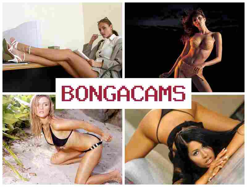 BONGA AMS 👠 WWW Webcam Porn