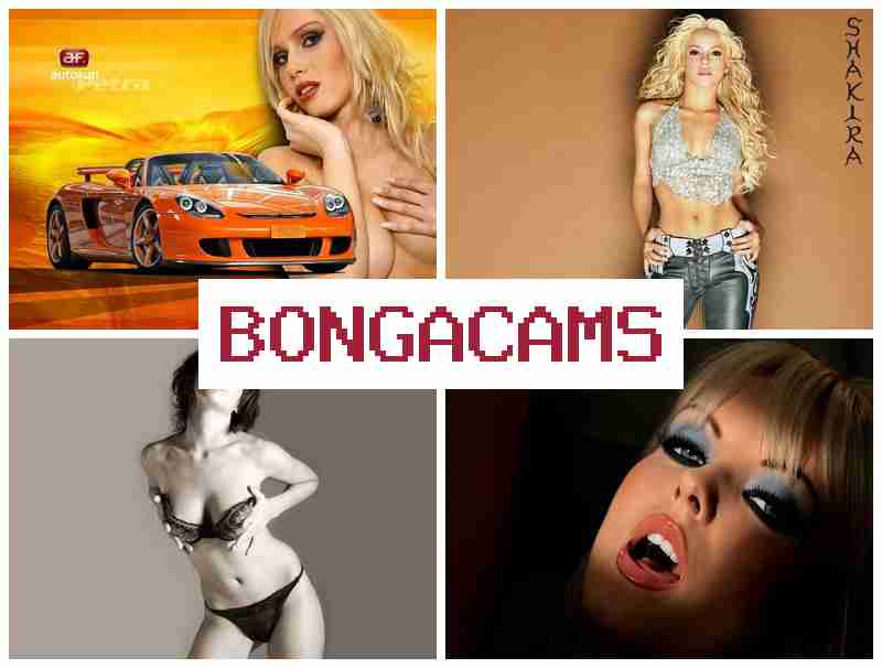 BONNGA CAMS 💞 Webcam DP Sex