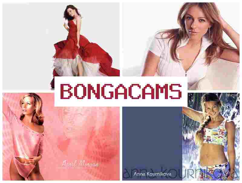 BONGGA CAMS 👠 Webcam Office Porn