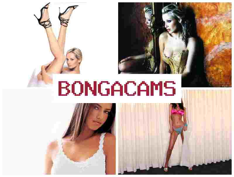 BONGA CAMSS 🔵 Fetish Webcam Porn