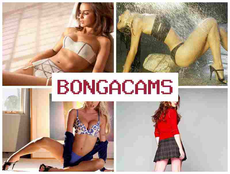 OBNGA CAMS 💖 Porno Webcam White Boo