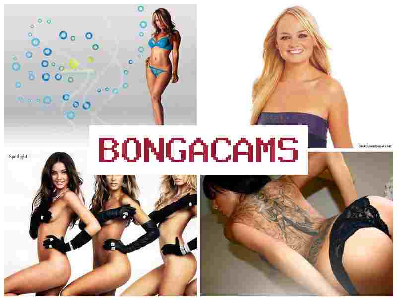 BOGNA CAMS 💚 New Webcam Shows Forum