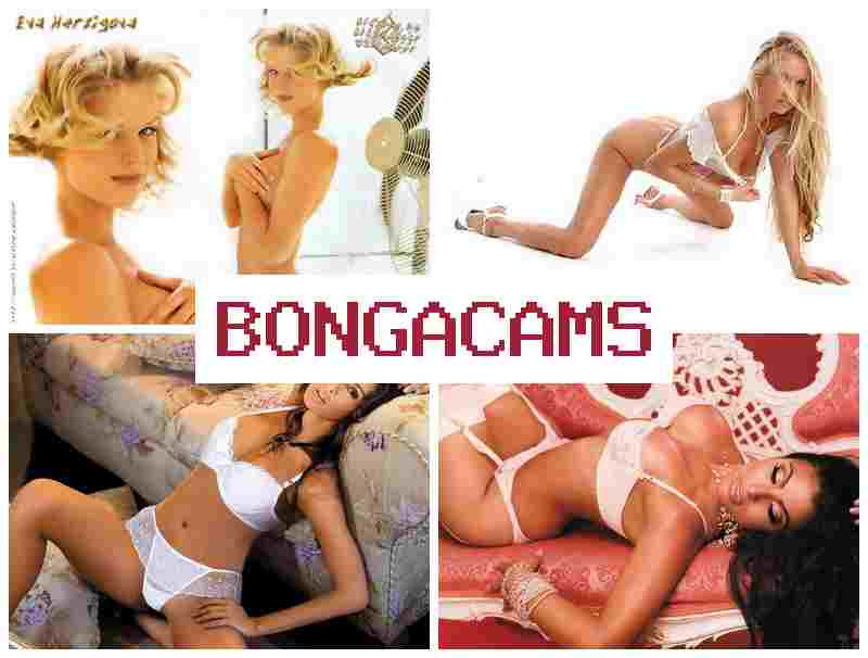 BONGA ACMS 💙 Webcam XXX Movies