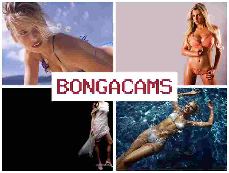 HONGA CAMS ♥ Webcam Kitty Cam Video 980 Mp4 Forum